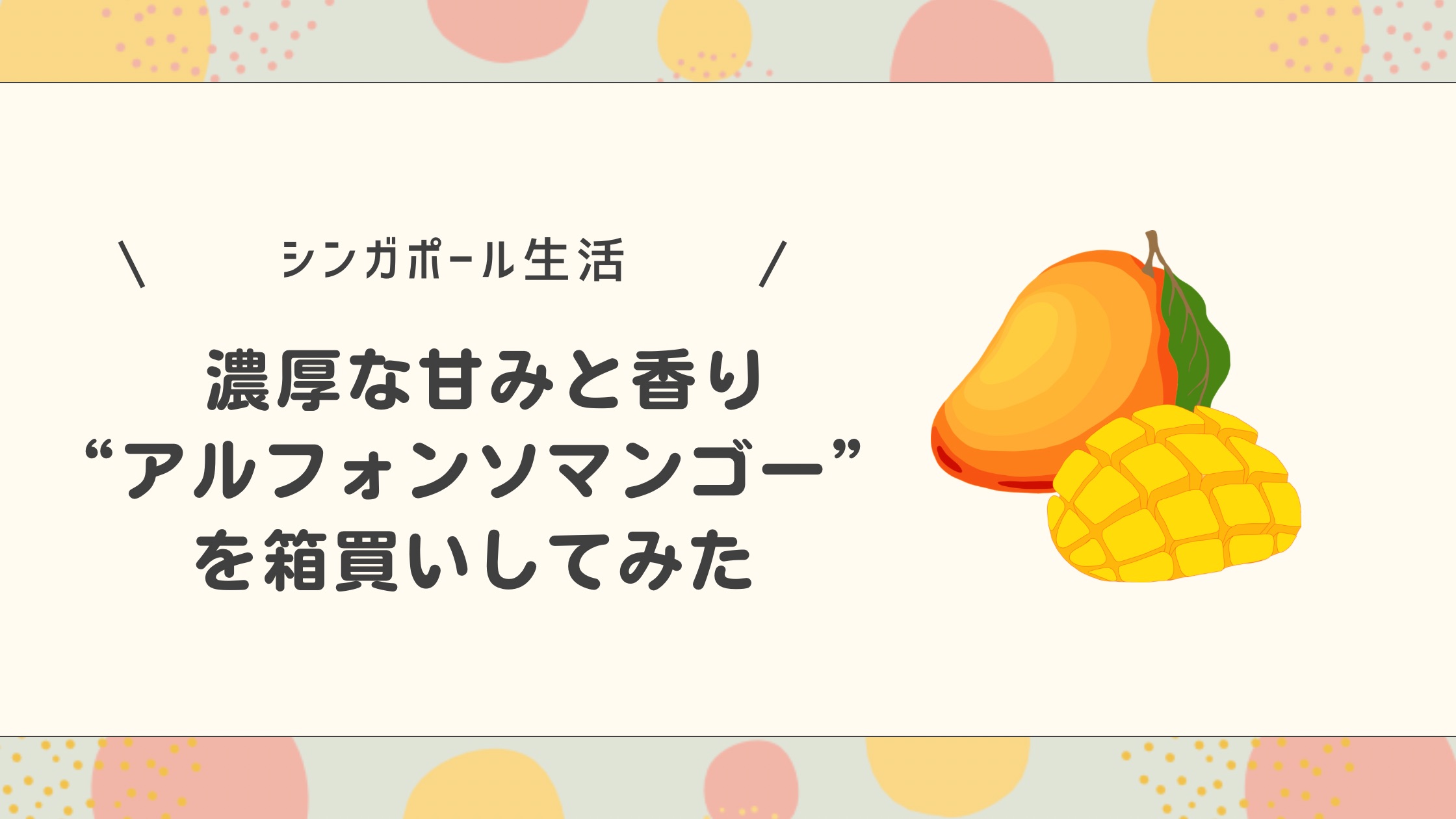 アルフォンソマンゴーを購入